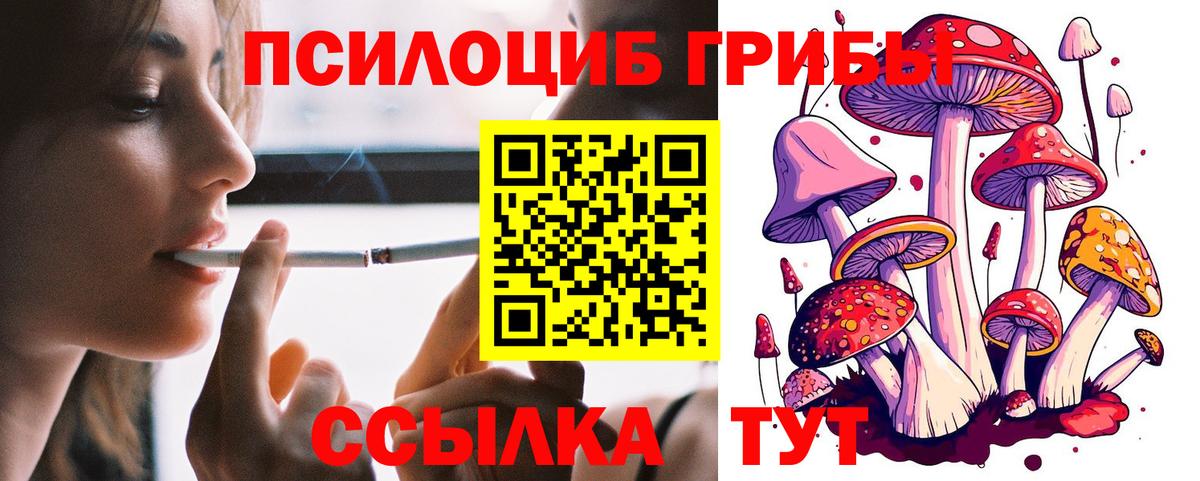 купить наркоту  Галлюциногенные грибы MAGIC MUSHROOMS  Вход с VPN  Белово 