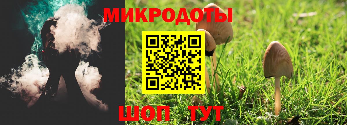 Галлюциногенные грибы GOLDEN TEACHER Белово